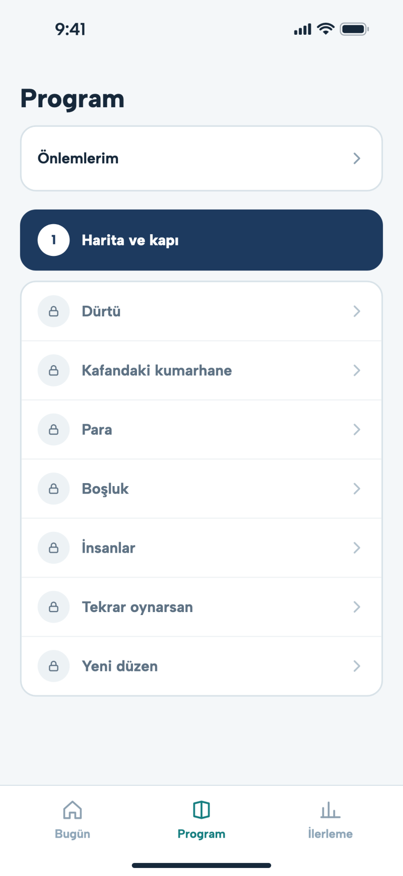 Uygulamanın Program ekranı.